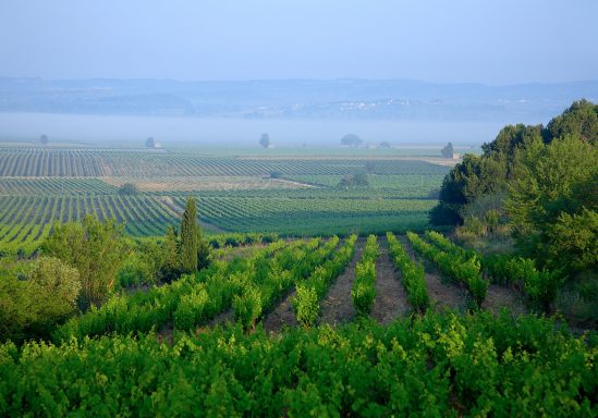 HOTEL GROUPE CAUNES MINERVOIS